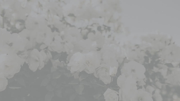 Trampoline Park Princess Invitation - Princess Jump Party Invitation - Girls Jump Party Invitation - Princess Trampoline Park Party Evite