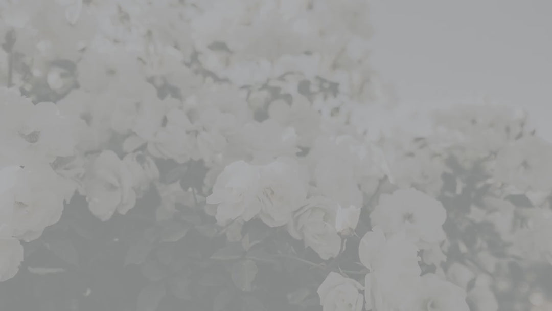 Bratz Themed Party - Girls Night Out Invitation - Bratz Invitation - Baddie Doll Invitation - Y2K Doll Invitation - 21st Birthday Invitation