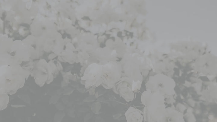 Bratz Themed Party - Girls Night Out Invitation - Bratz Invitation - Baddie Doll Invitation - Y2K Doll Invitation - 21st Birthday Invitation